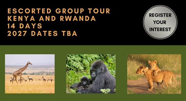 Kenya and Rwanda Tours holiday experience
